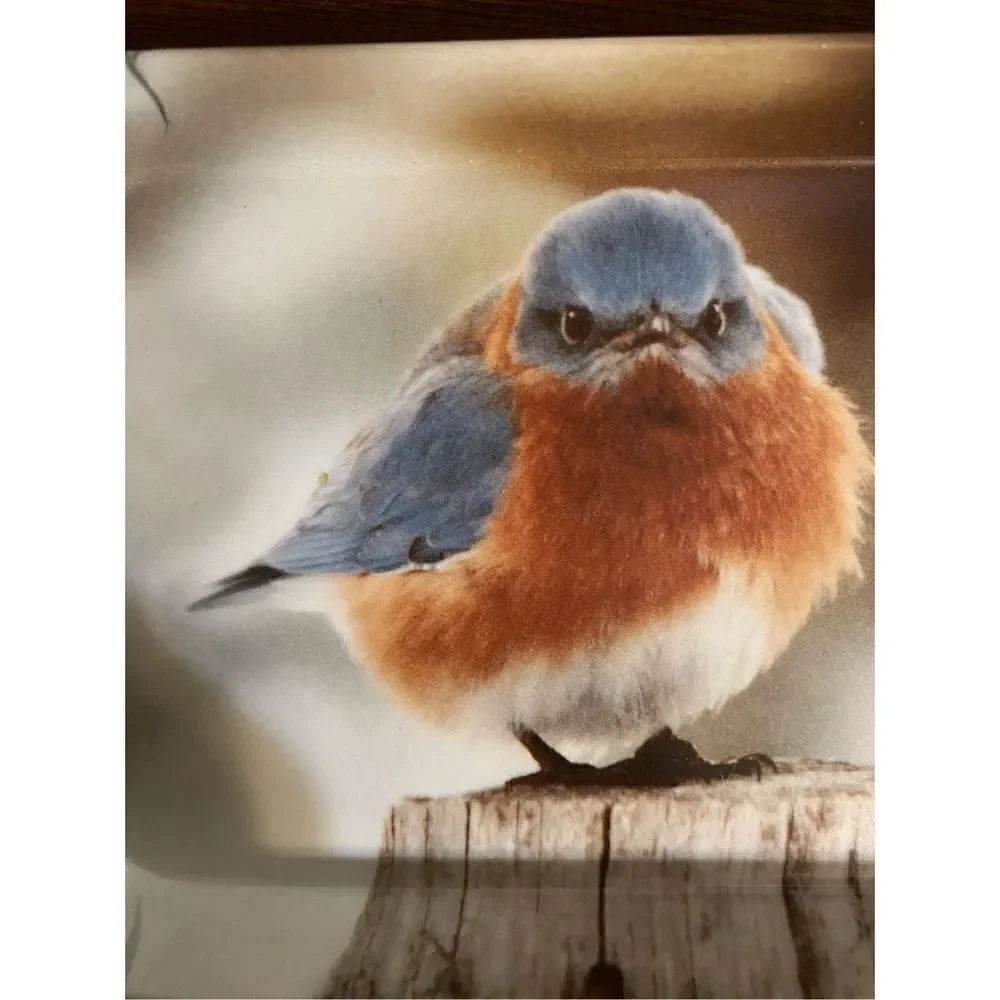 Vintage Eklund’s Ltd 1979 max blue bird vanity tray made in Italy